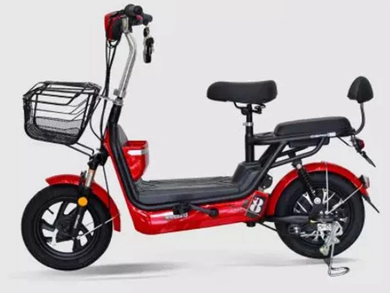 Small And Light Electric Bike