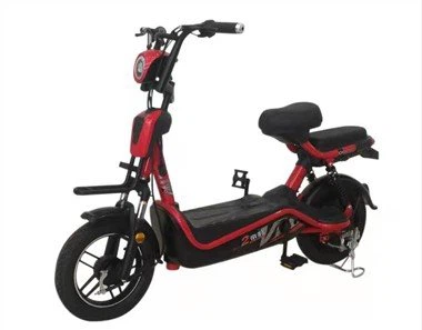 Manned Lightweight Electric Bicycle