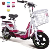 Smart Electric Bicycle